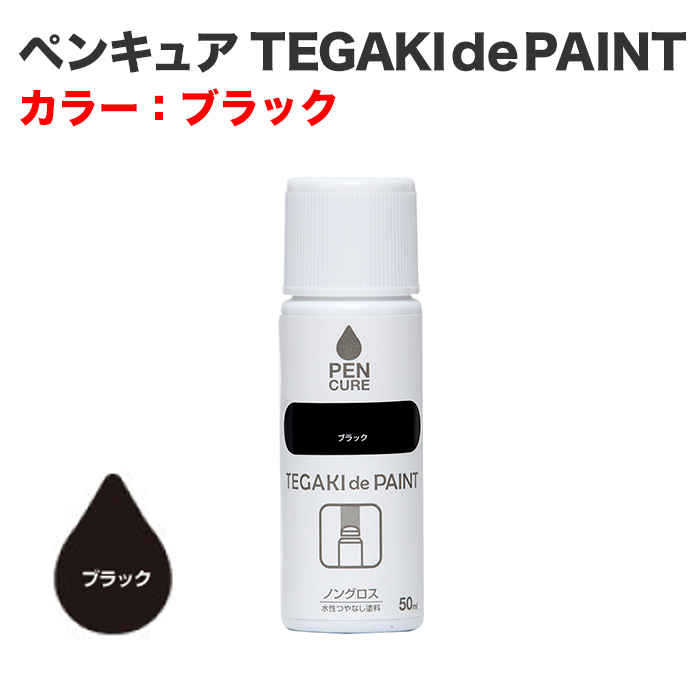 ペンキュア TEGAKI de PAINT 50ml ブラック